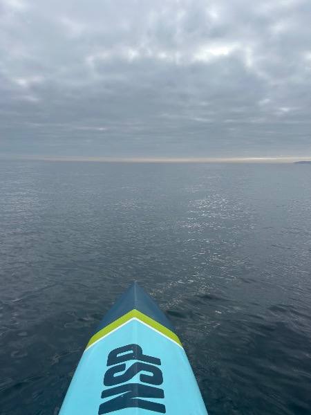 BUSTAMANTE DURAN Carolina